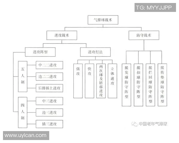 西安排球队反击体系解析与战术应用探讨